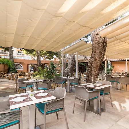 Baviera Cala Ratjada (Mallorca)